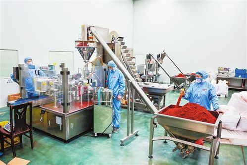 隴右名城熱潮涌動 從田間到舌尖，天水麻辣燙火爆出圈的“初級農產品”密碼