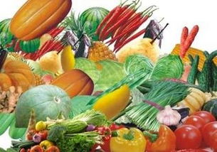 我國農產品價格走勢分析 整體上漲態勢下糧價保持基本穩定