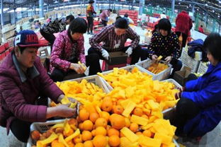 做農(nóng)業(yè)電商，需不需要辦理食品經(jīng)營(yíng)許可證？怎么辦？一文看懂！
