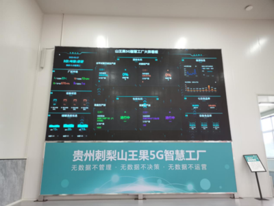 深耕'四張精品網(wǎng)' 助力中國式現(xiàn)代化開新篇——走進'云上之城'的數(shù)據(jù)處理與存儲服務(wù)